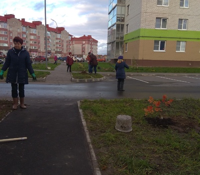 Озеленение. Субботник 12.10.2019г.