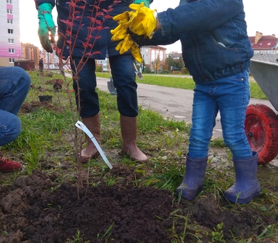 Озеленение. Субботник 12.10.2019г.